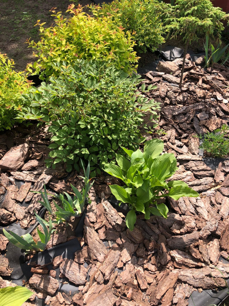 Проектирование цветников 2018-2020