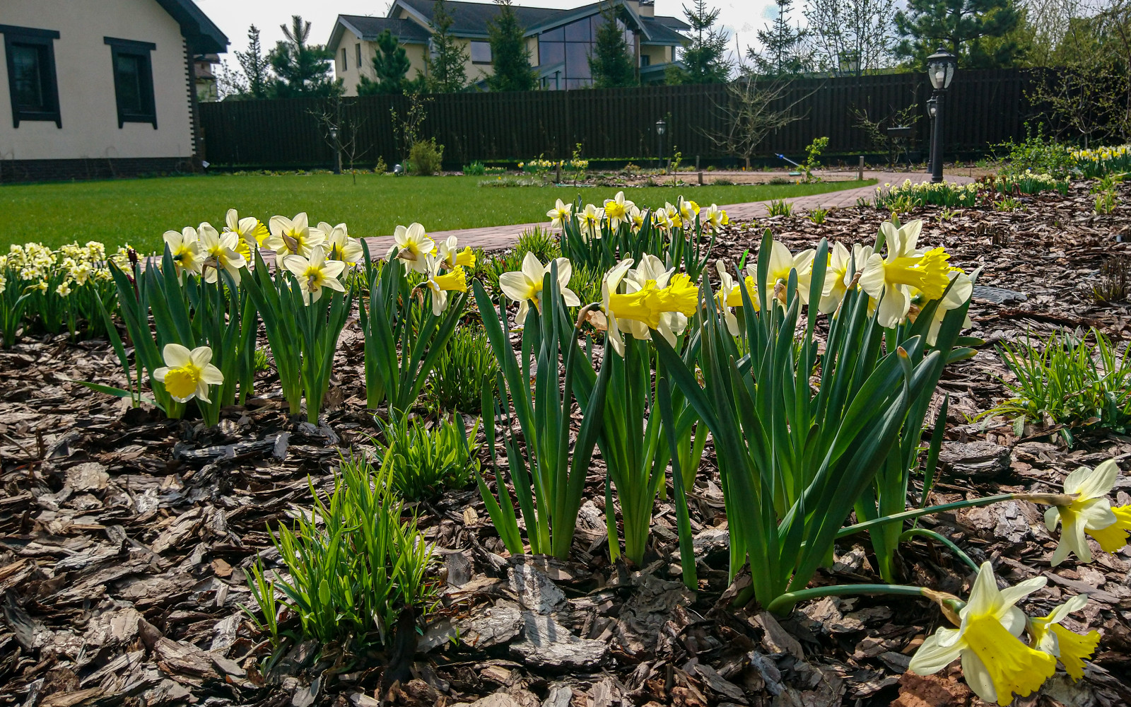Проект в стиле Вахверк