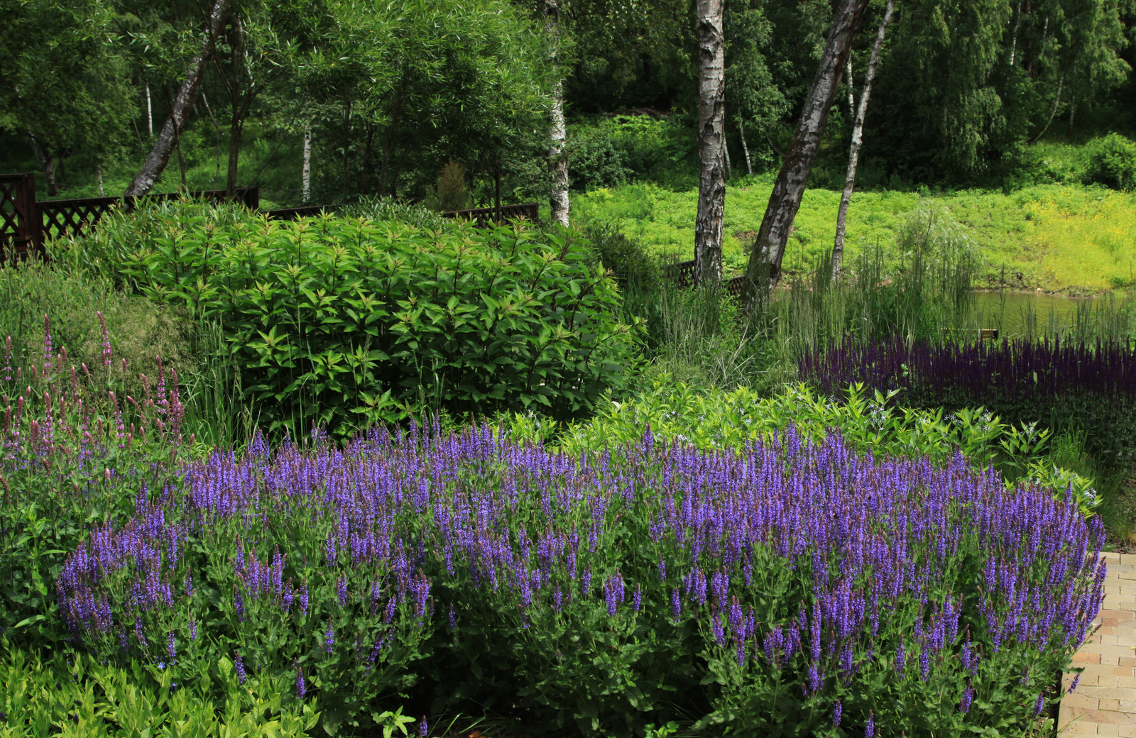 Проект "Волны". Верхний сад