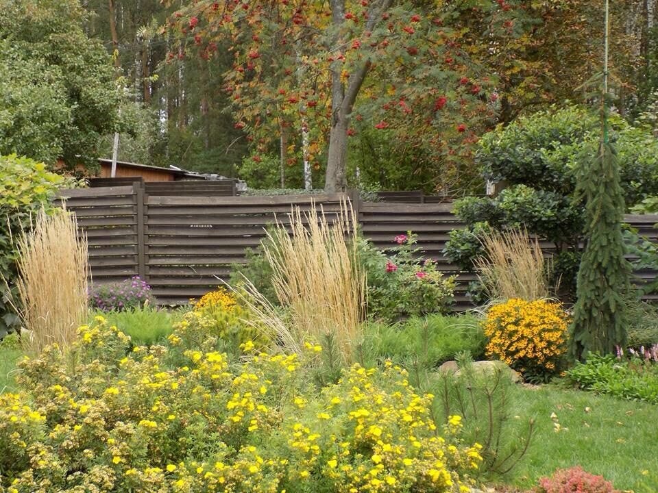 Озеленение, ландшафтный дизайн