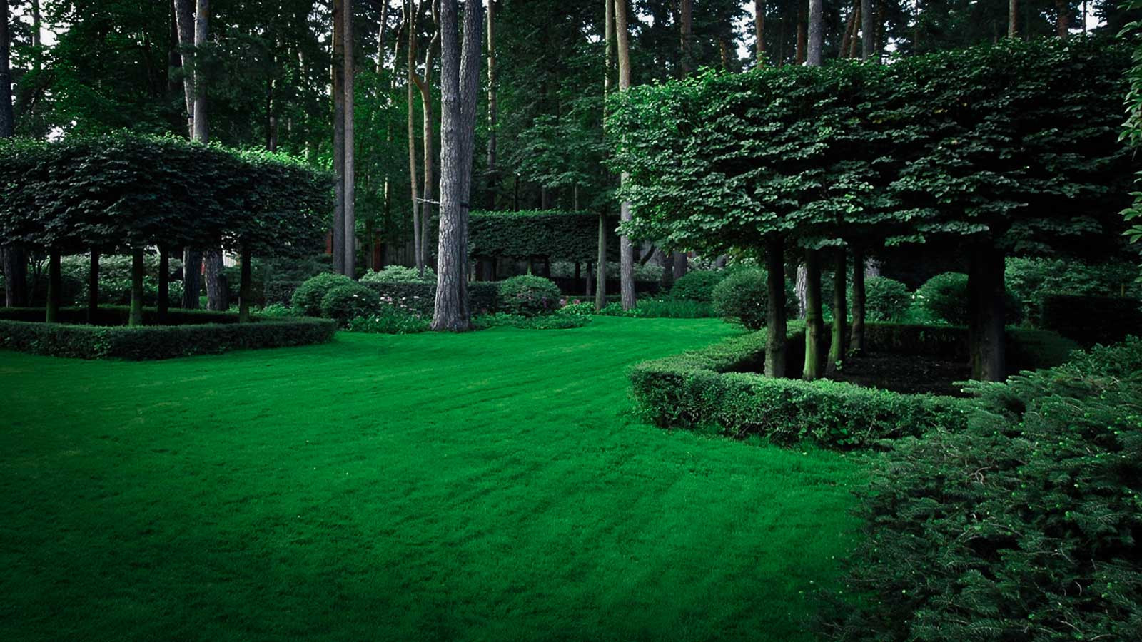 Серебряный бор