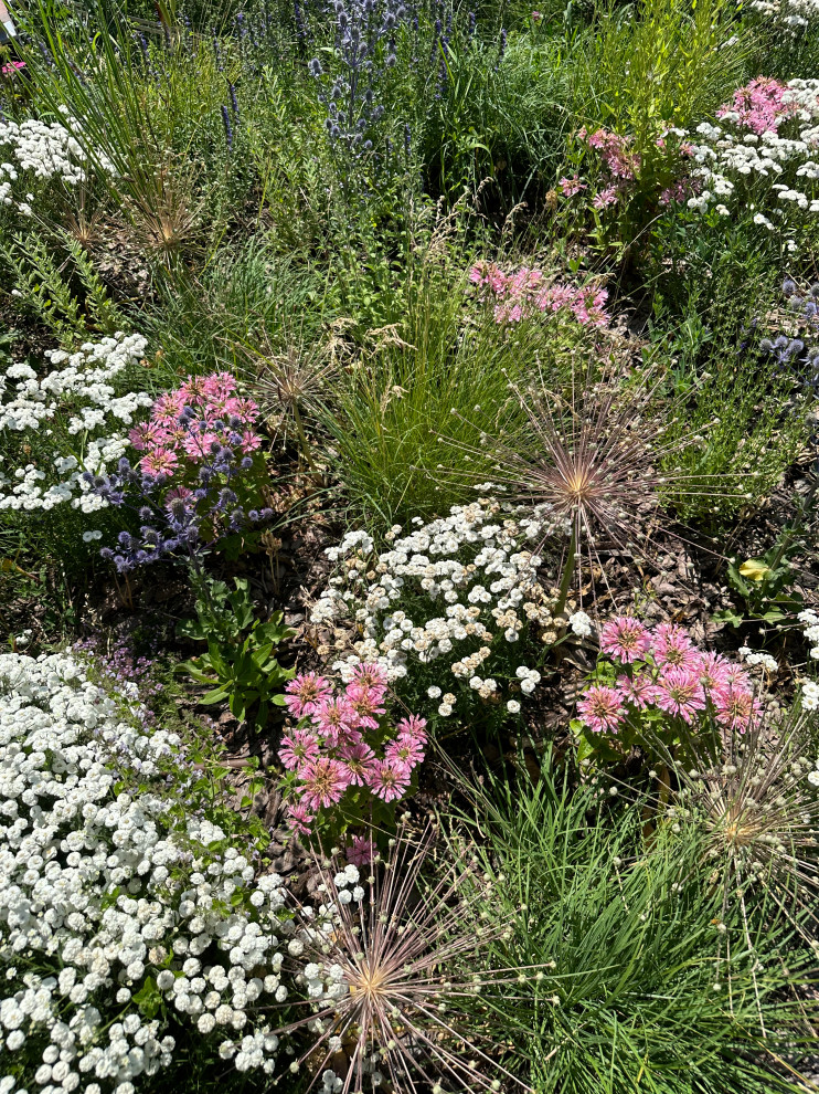 Сад с видом на Волгу