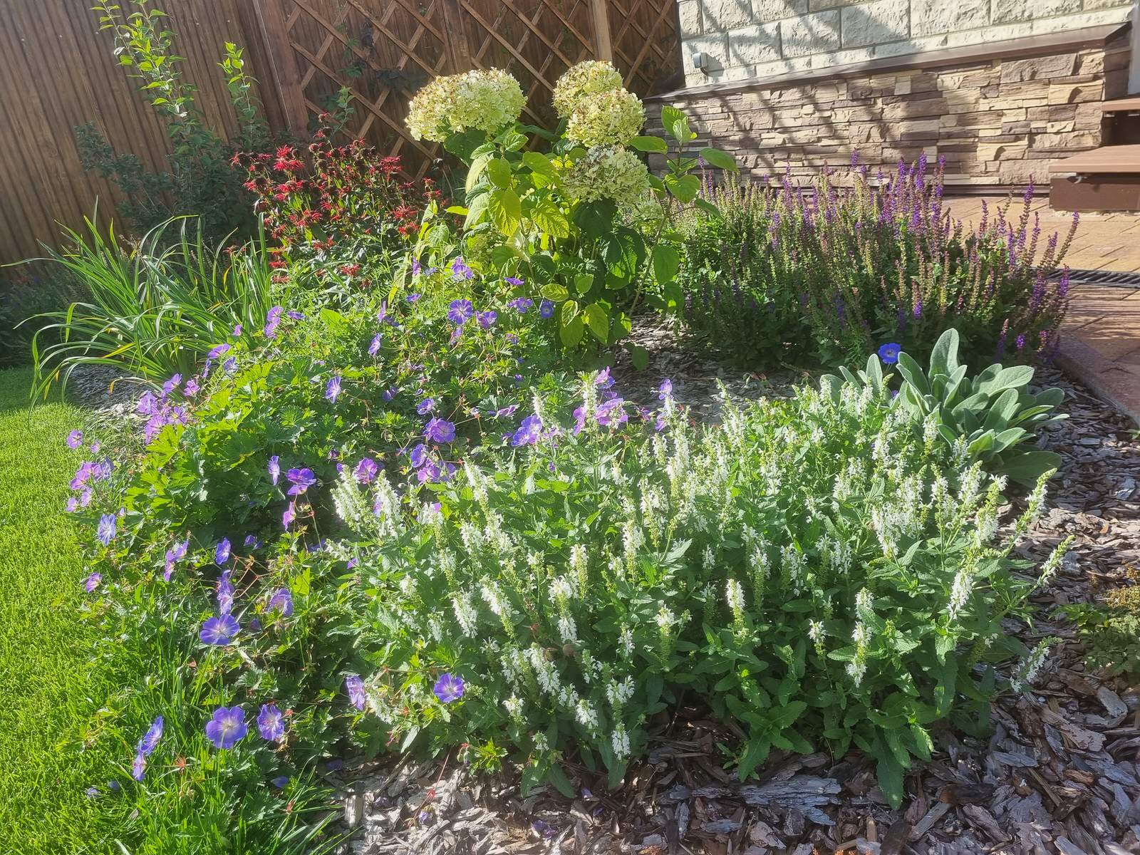 Обложка проекта: Калтай