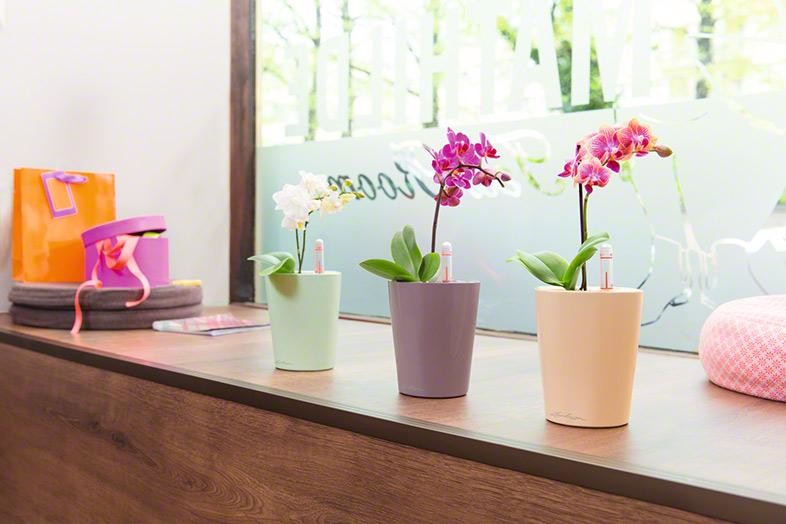 Достойно Инстаграма