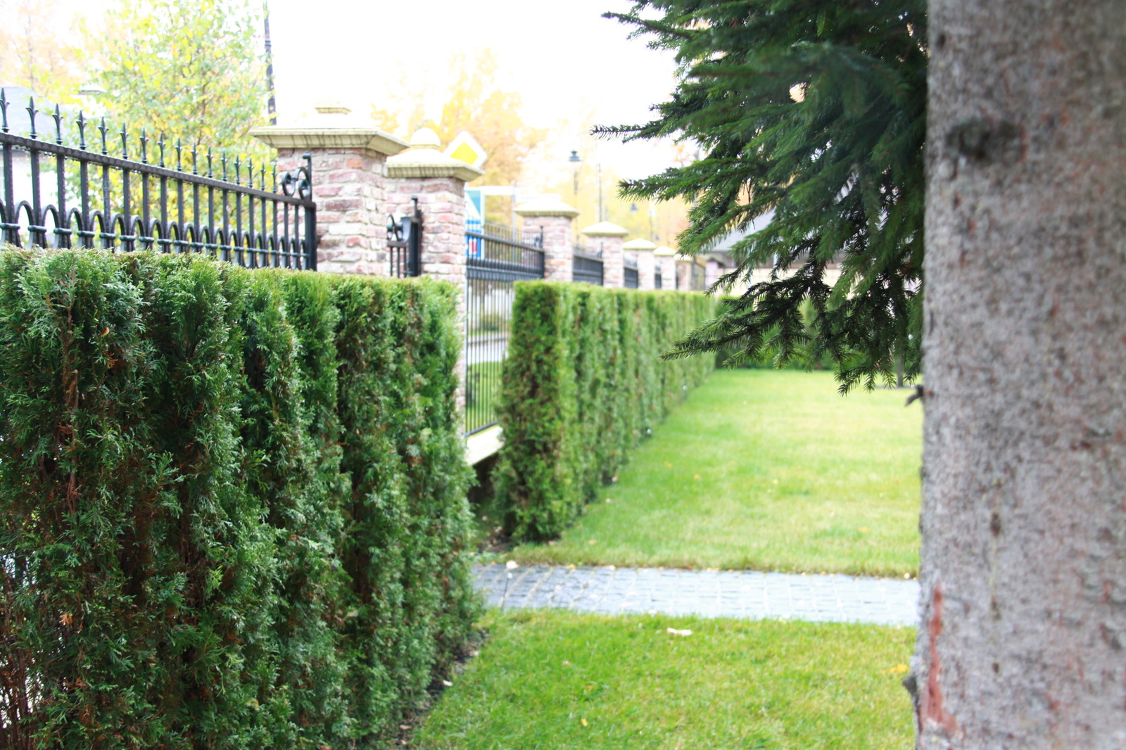 Обложка проекта: Бельгия