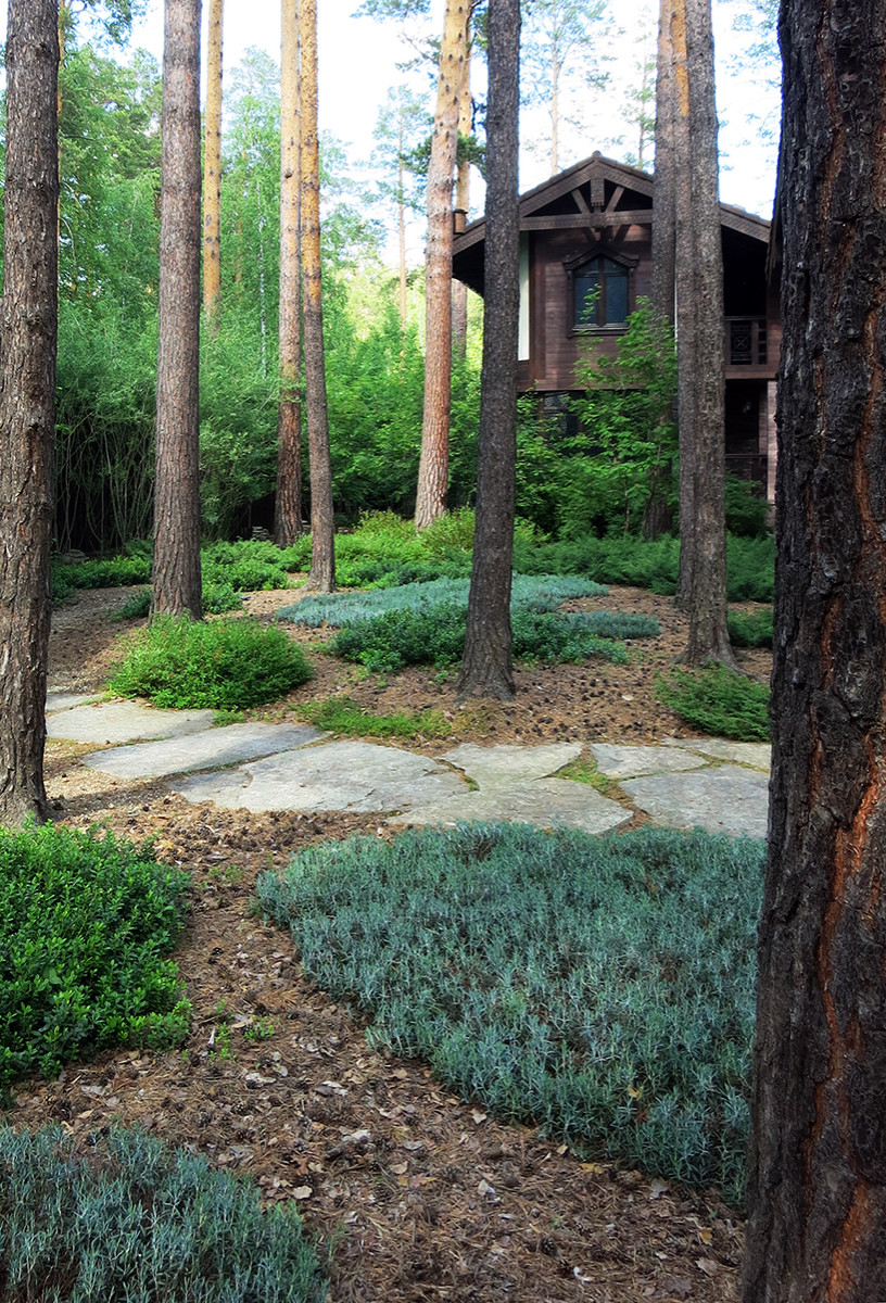 Не нужно бояться темноты