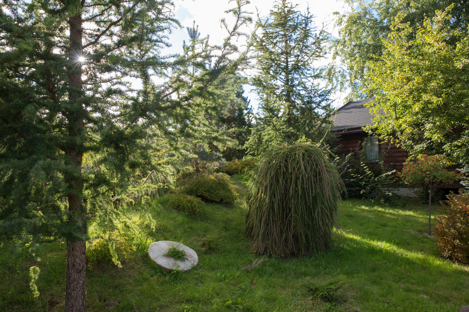 Парк в  Шаховском районе