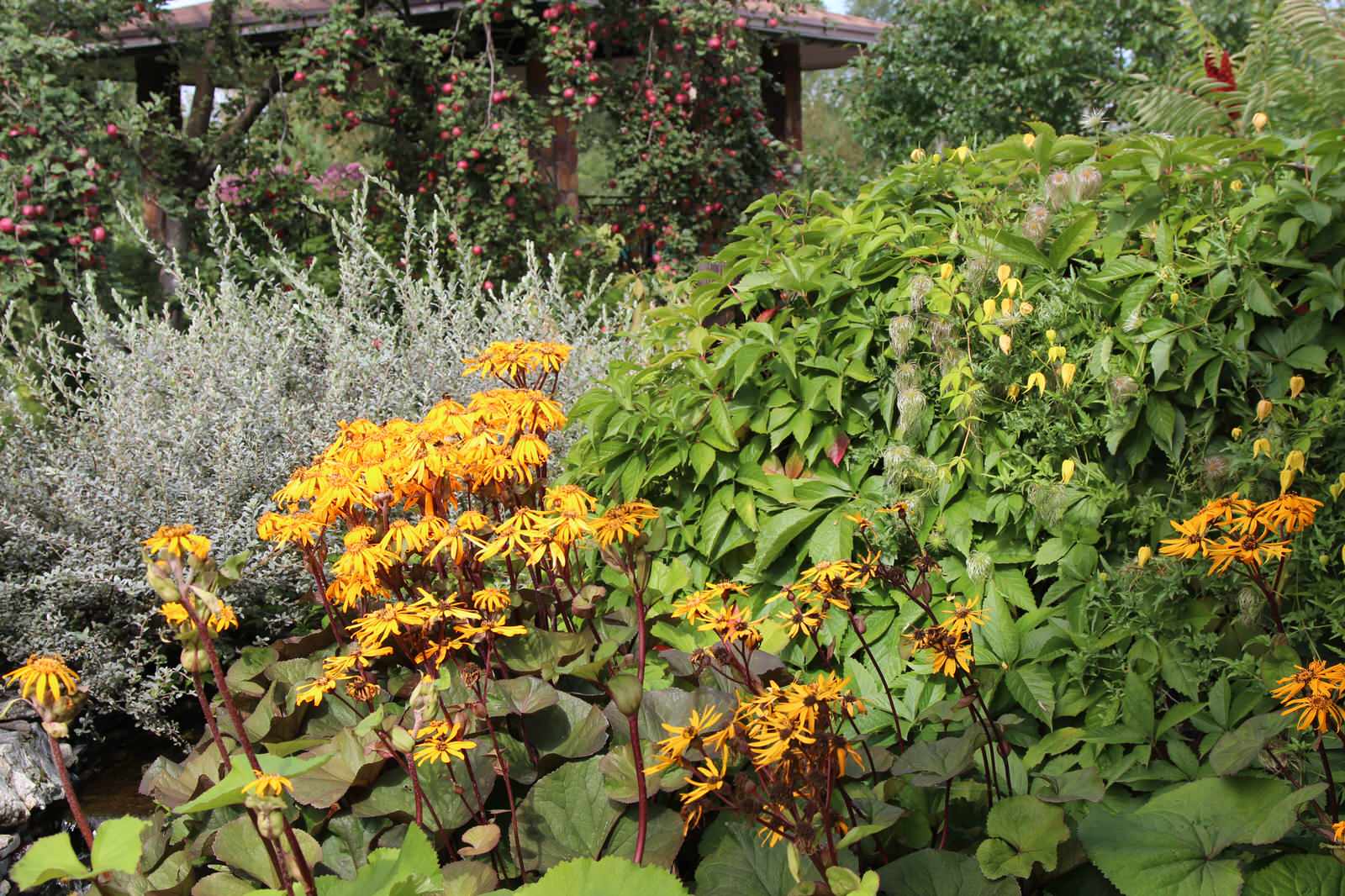 Цветущий летний сад