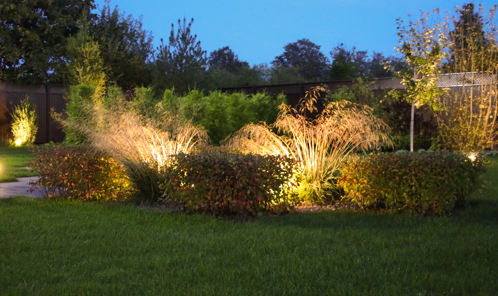 Петровское, ночной сад, 2018-2020 гг.