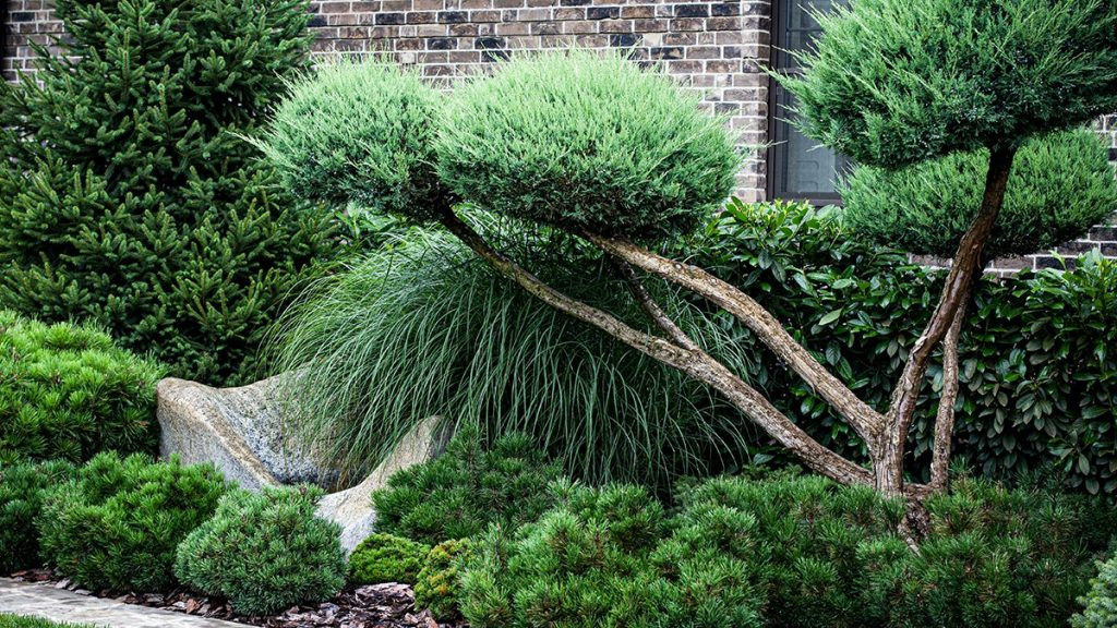 Частное домовладение