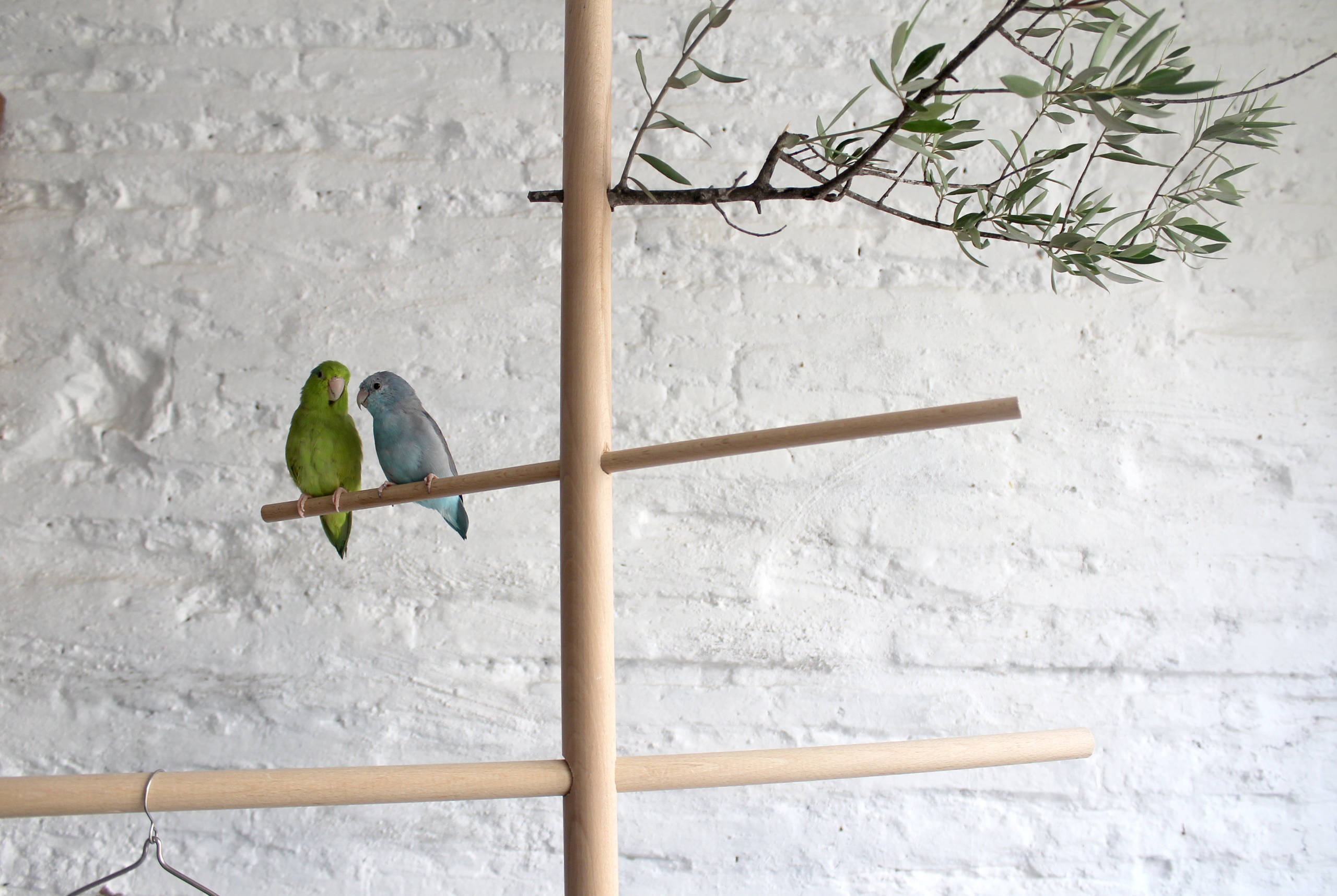 Мир дизайна: 10 счастливых питомцев и их места обитания в доме