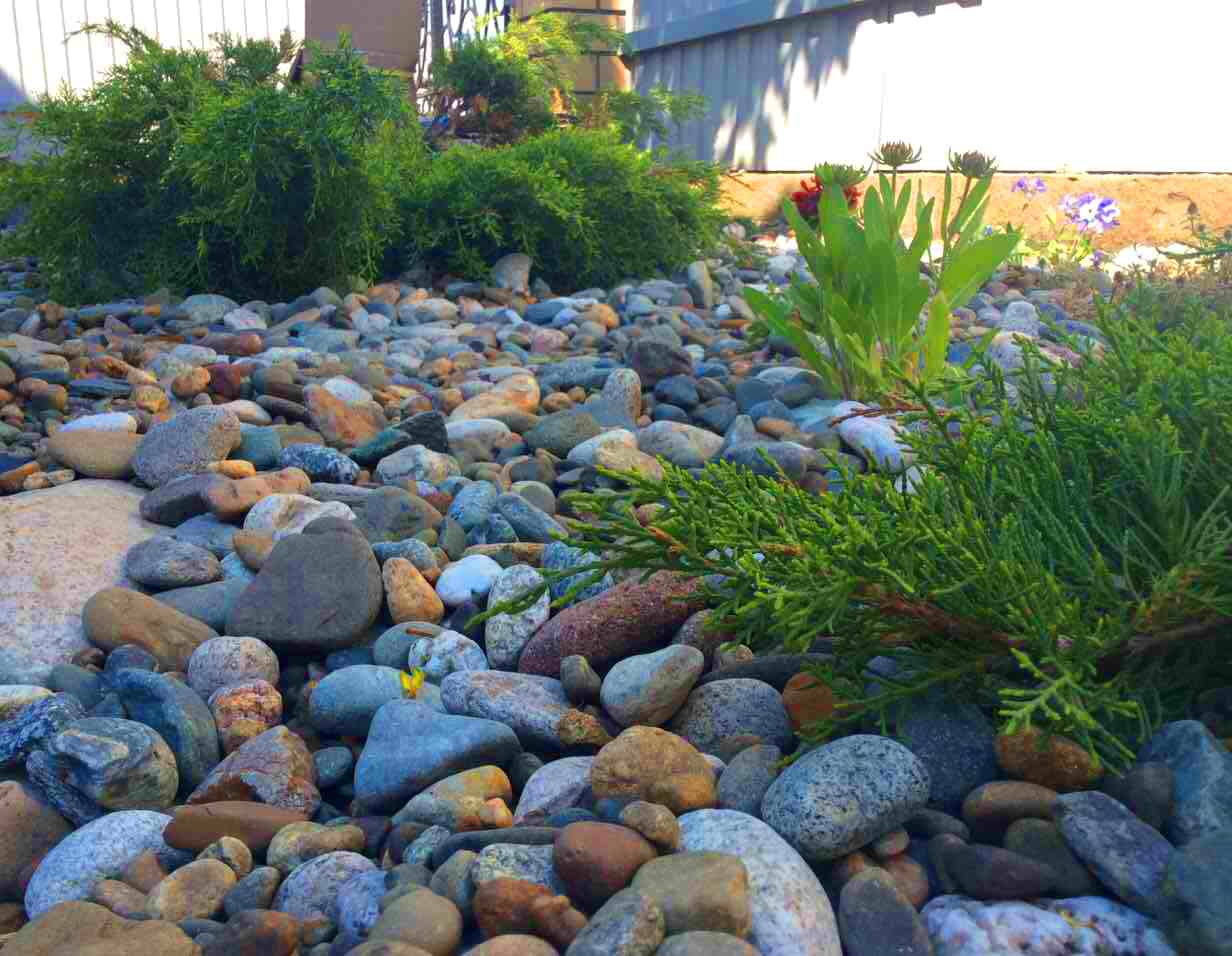 Ландшафтный дизайн