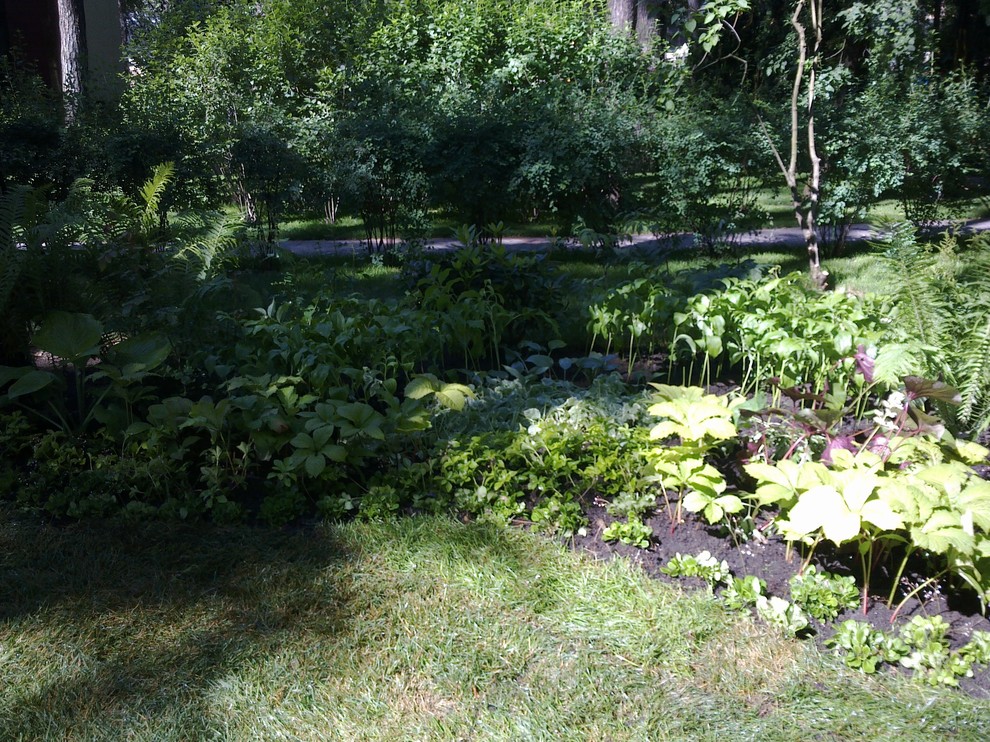 Ландшафтный дизайн 40 соток