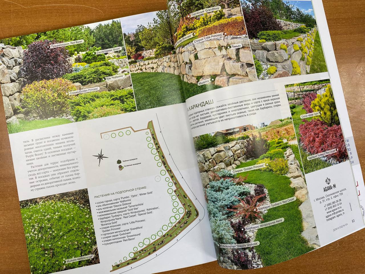 Публикации в прессе