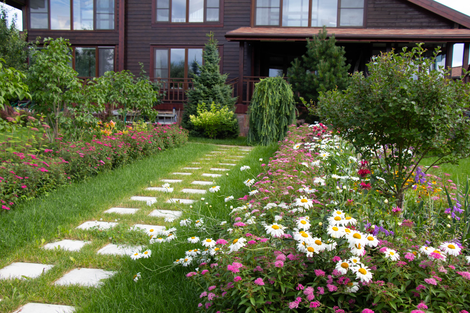 Сосновые берега