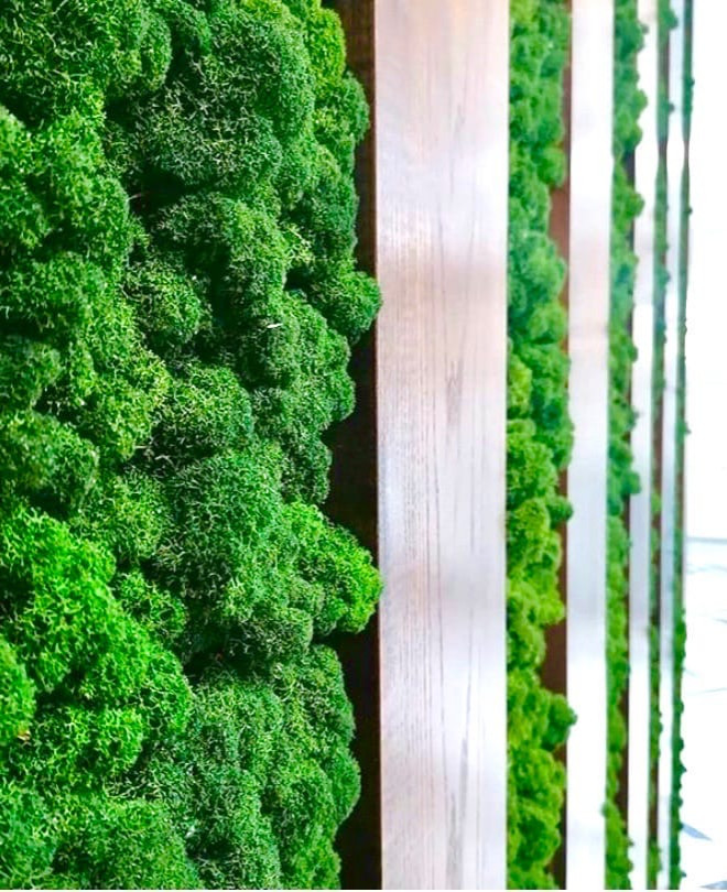 Обложка проекта: Стена из стабилизированного мха