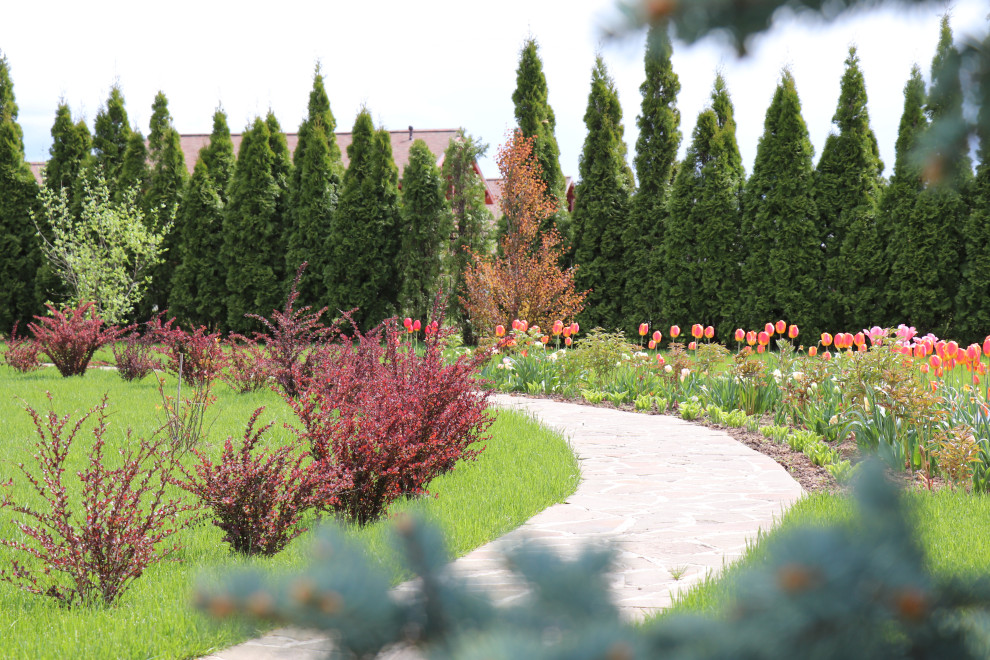 Весна 2020 Сосновые берега