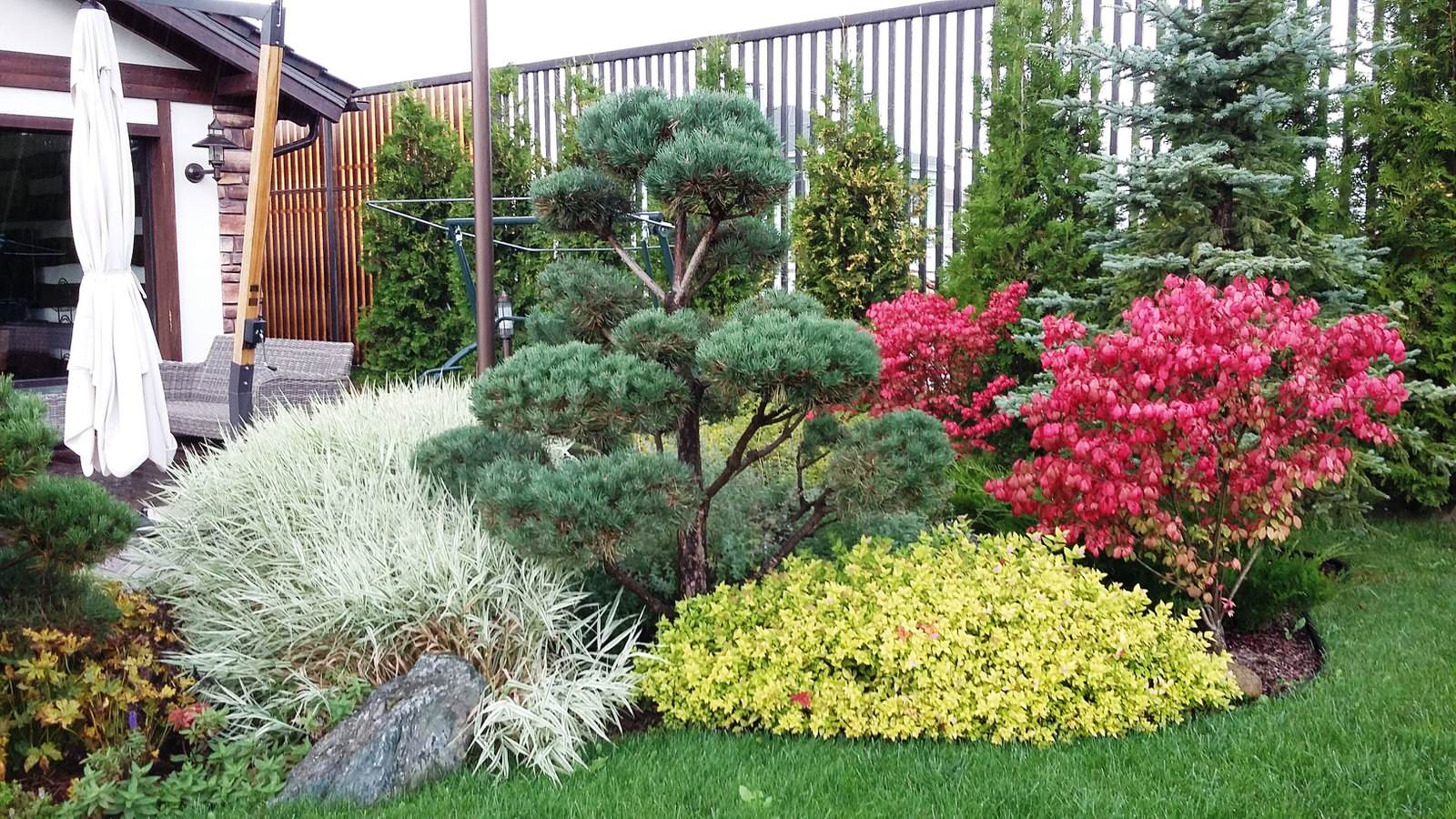 кп "Папушево" - Профессиональный уход за садом - 100% качество!