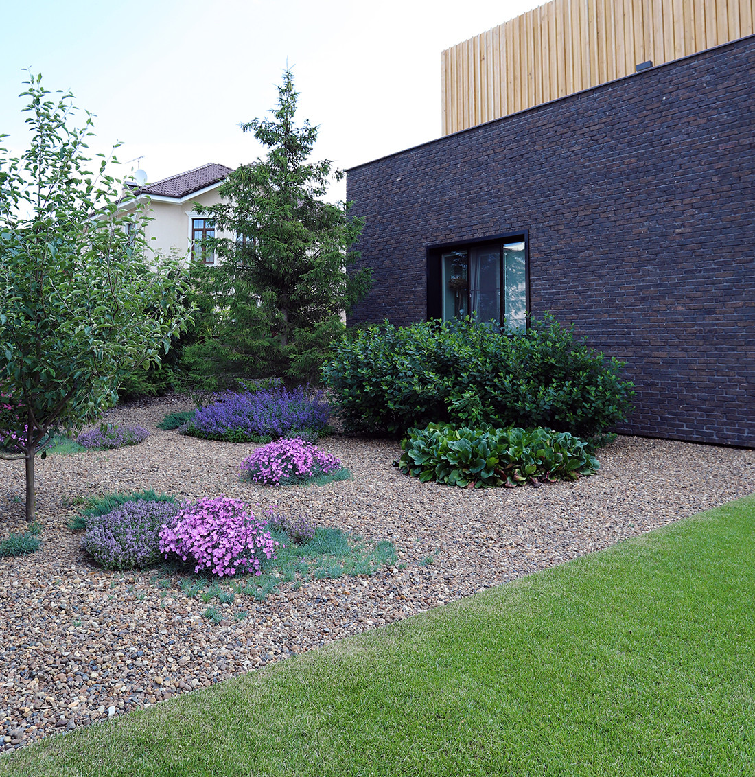 сад в городе