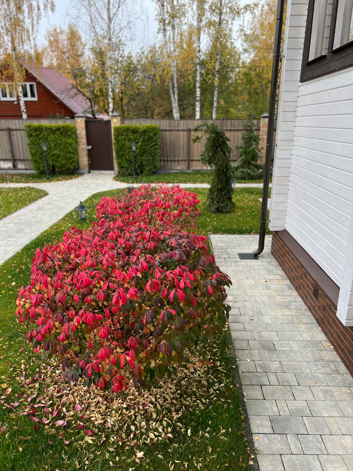 Сады осенью