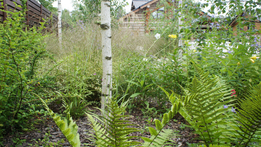 Прохорово лето 2017