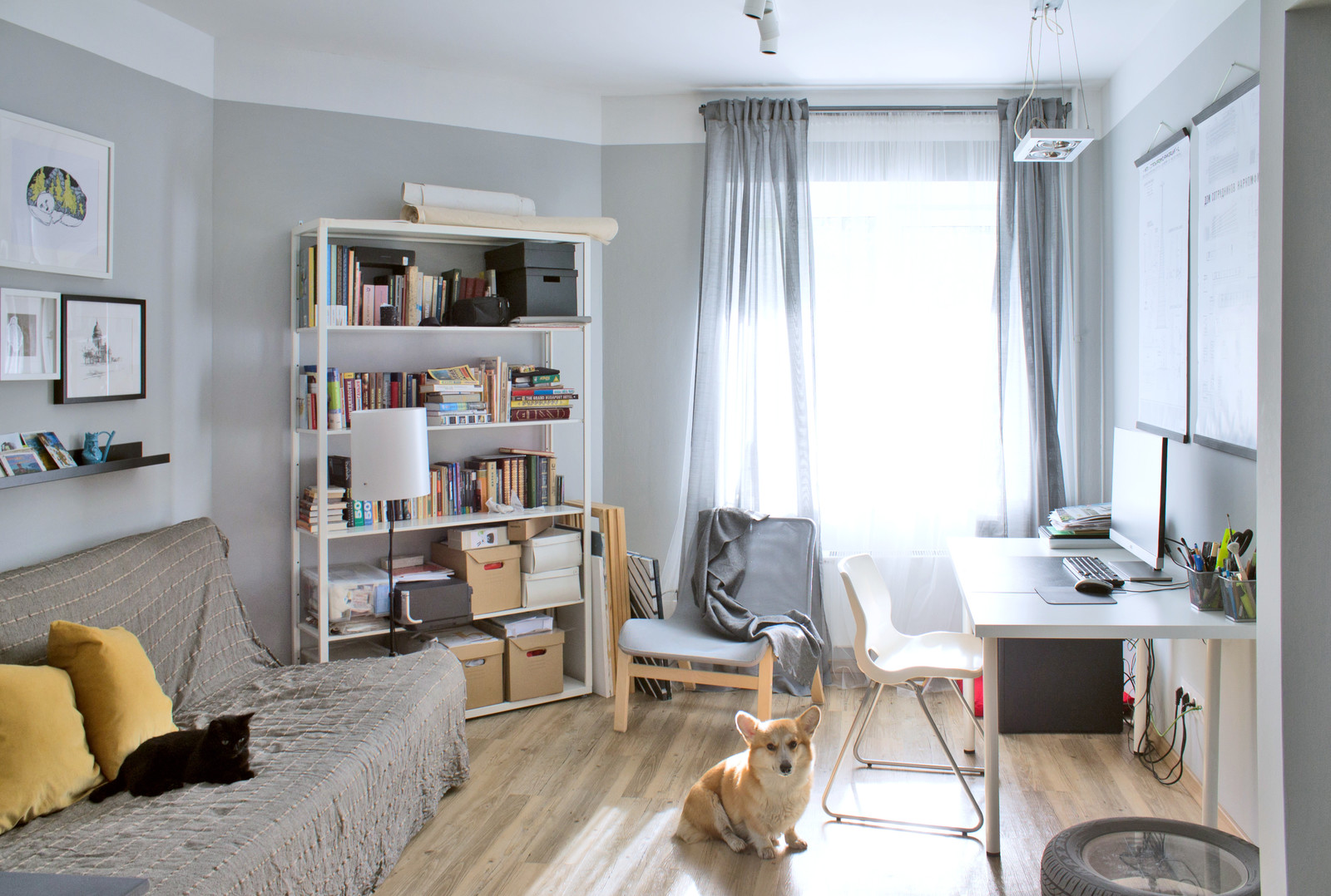 Ирина Поповская