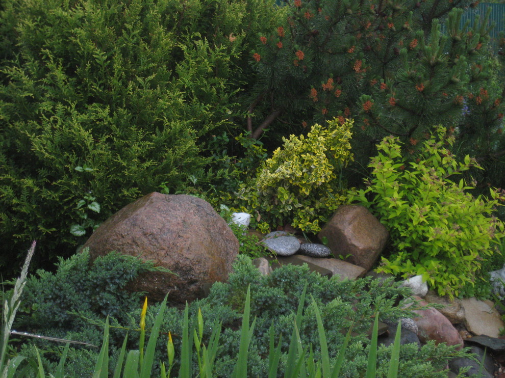 Хвойная идиллия