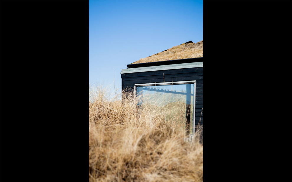 Houzz Дания: Дом под Скагеном с травой на крыше