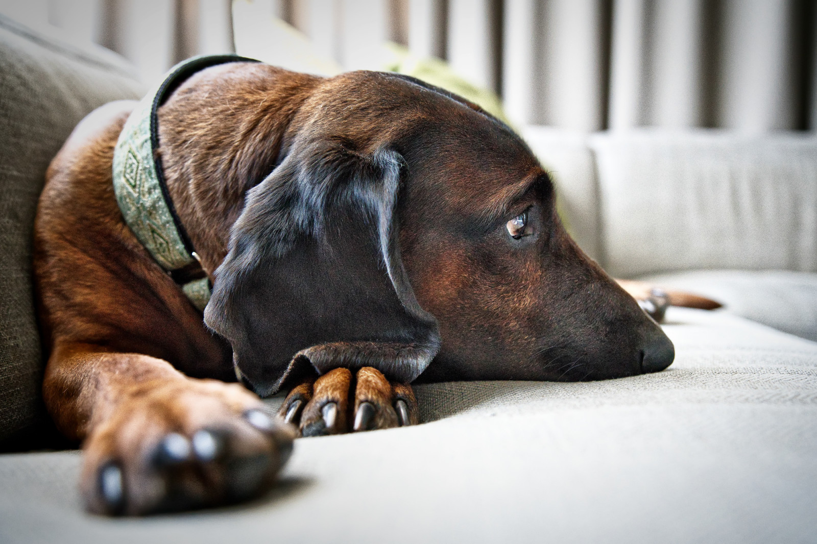 Квартира на Циолковского