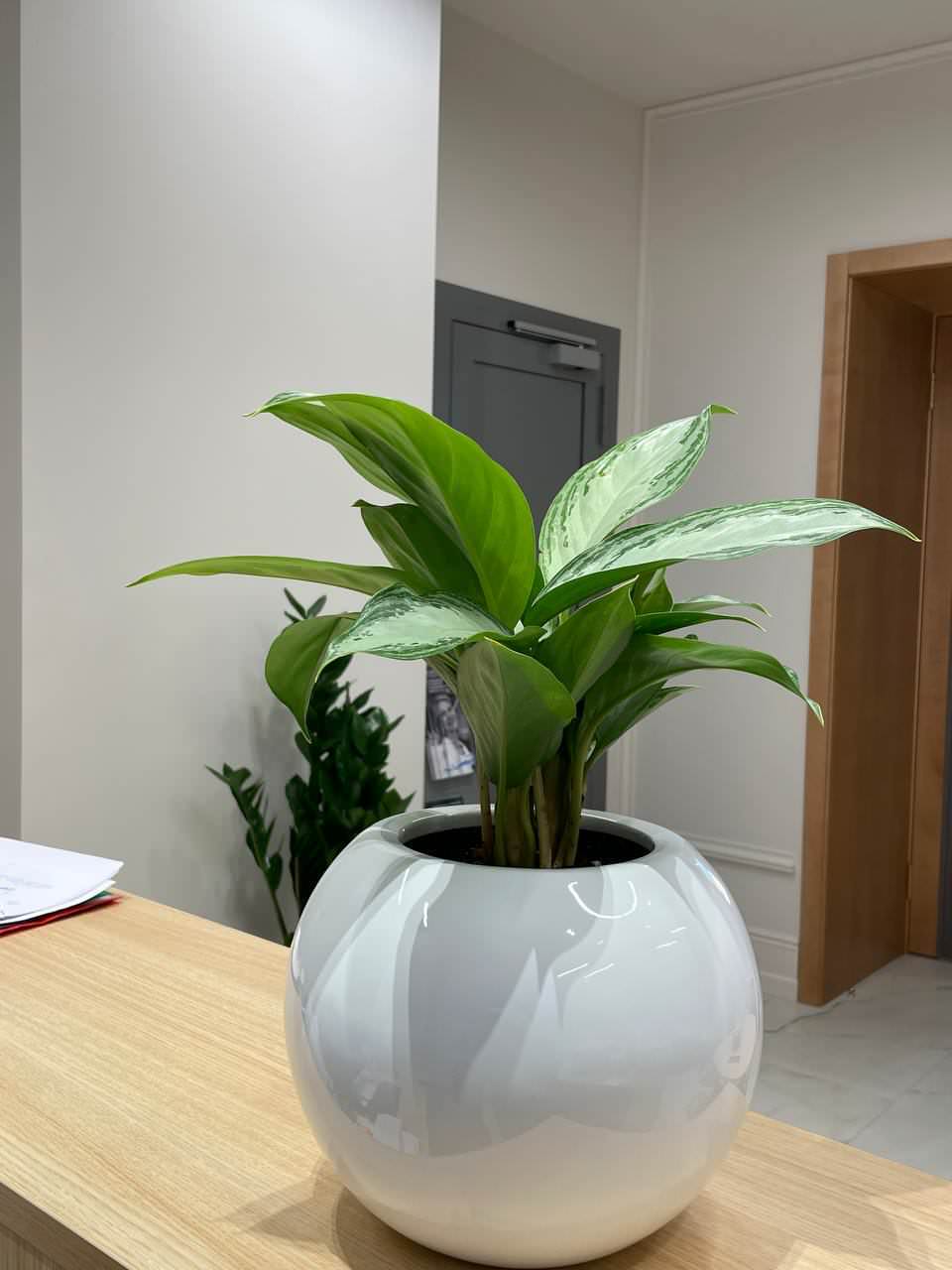 Клиника косметологии г. Санкт-Петербург