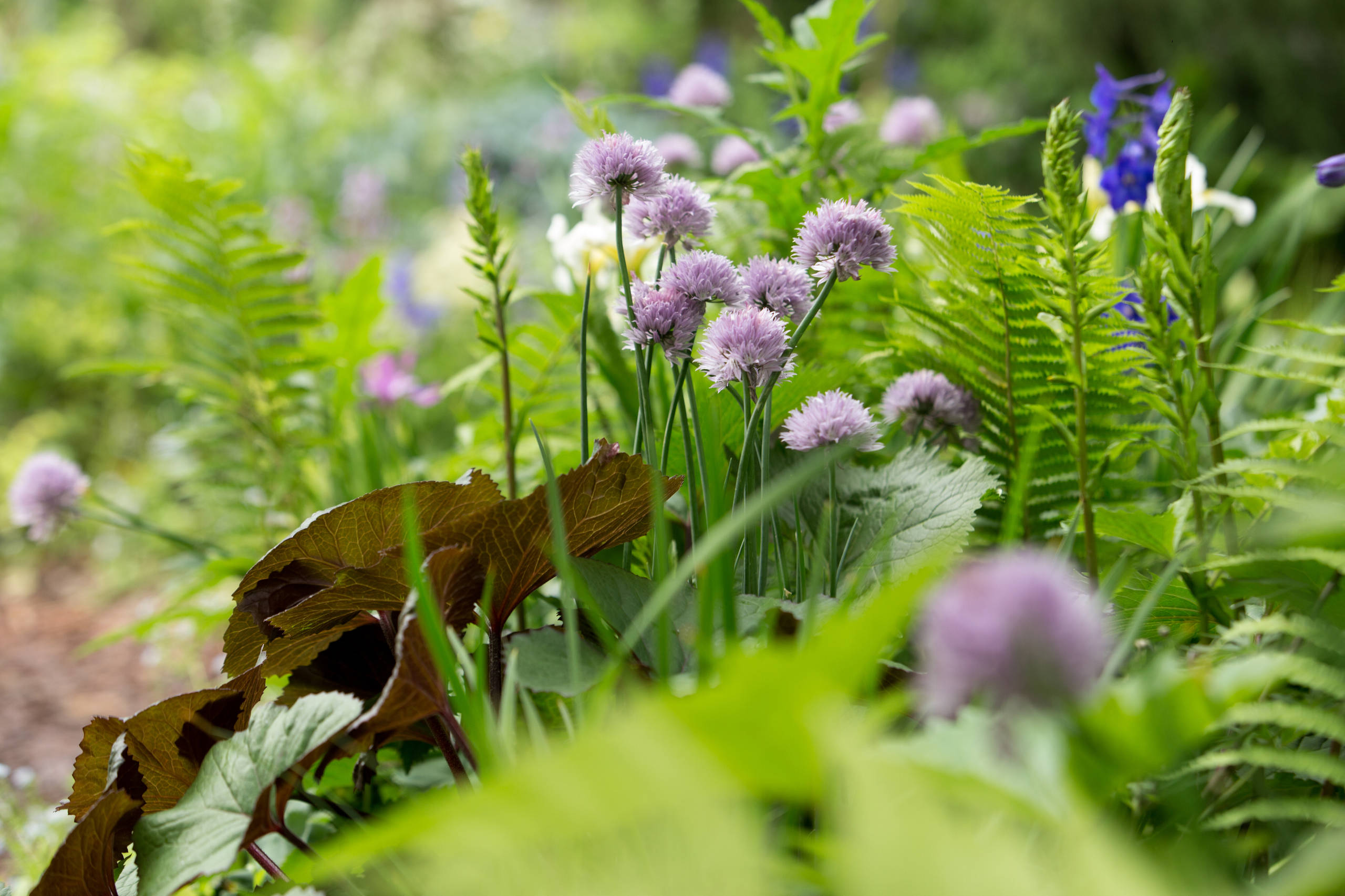 Проект недели: Сад в стиле модерн