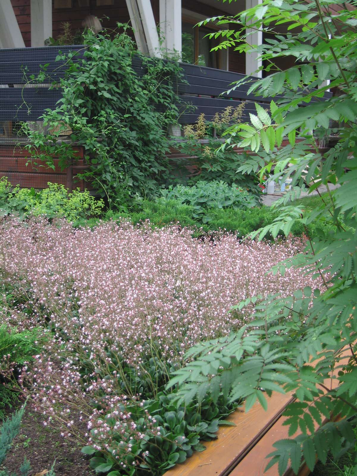 Обложка проекта: Спасибо Малевичу (в стиле супрематизма)