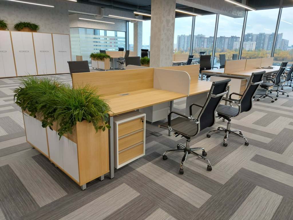 open space 1.jpg