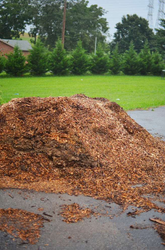 Весне дорогу: Садовый календарь на апрель