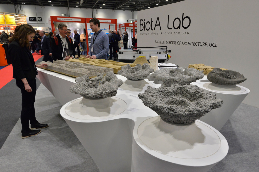 Мир дизайна: Натуральный мох и как его использовать