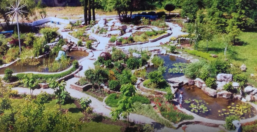 Обложка проекта: Проект "Фитофантазия"