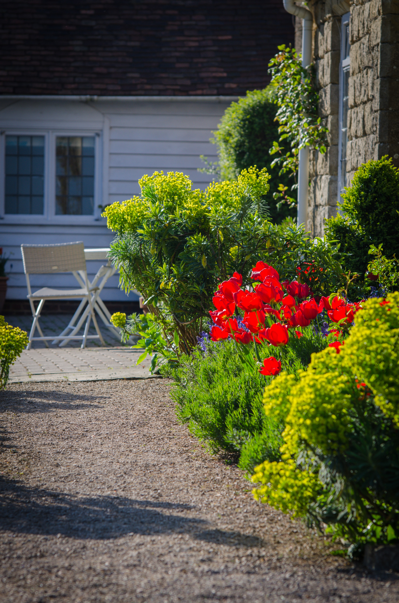 Работа над ошибками: Что пошло не так на клумбе