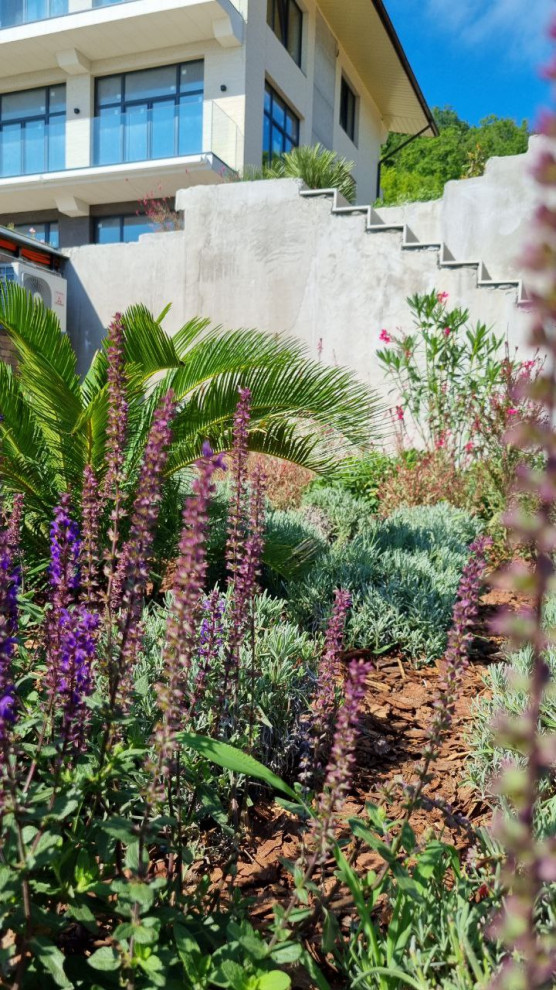 В лучах южного солнца.