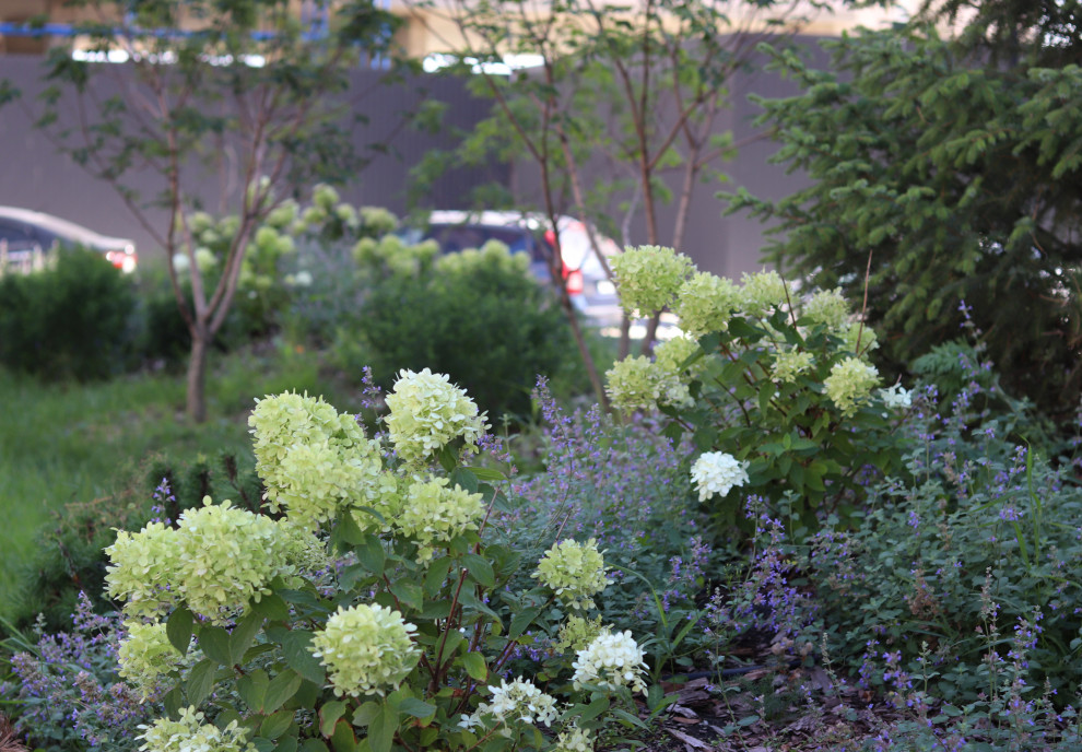 ЖК "Европейский"