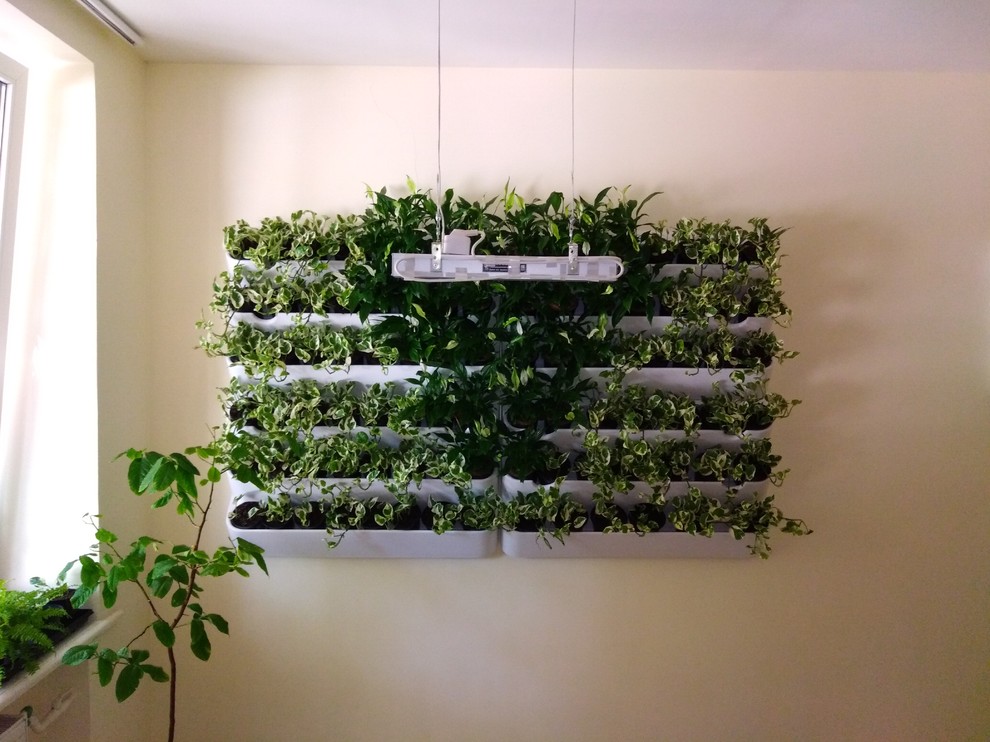 Павел Гулев