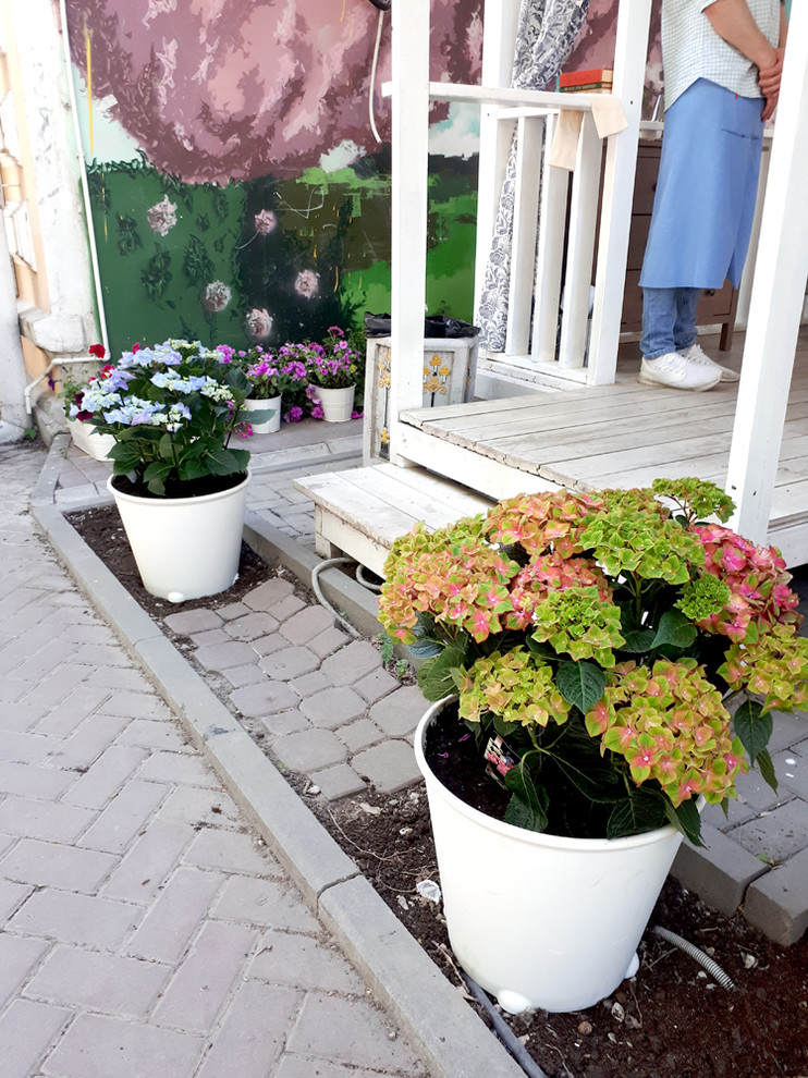 Контейнерное озеленение