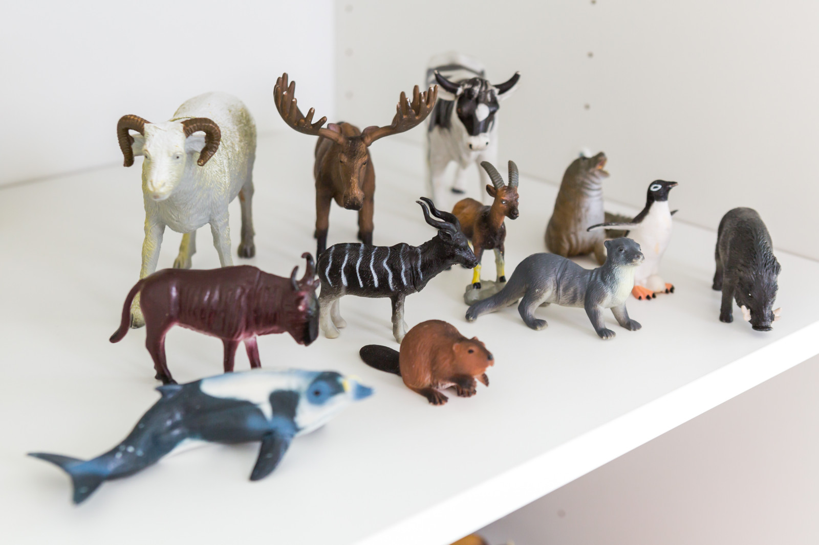 Дом из стекла