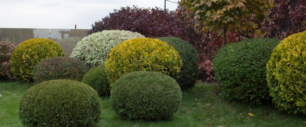 Большой сад на крыше