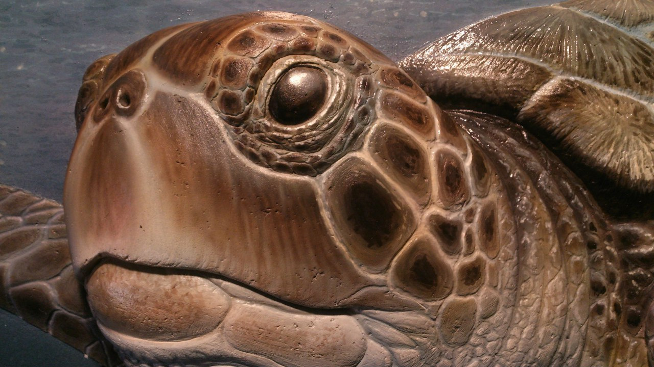 Лепной декор