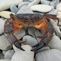 Наталья Загайнова