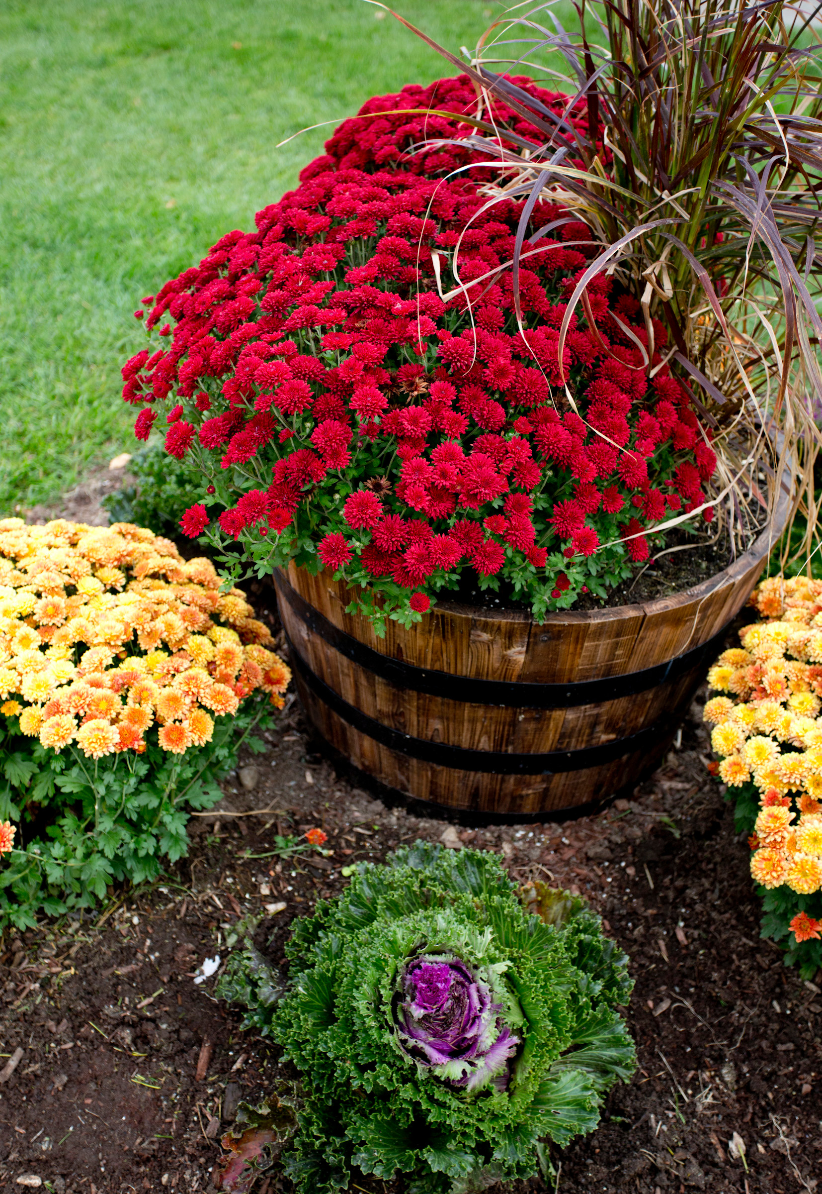 Как правильно: Горшечный сад осенью — проводим апгрейд