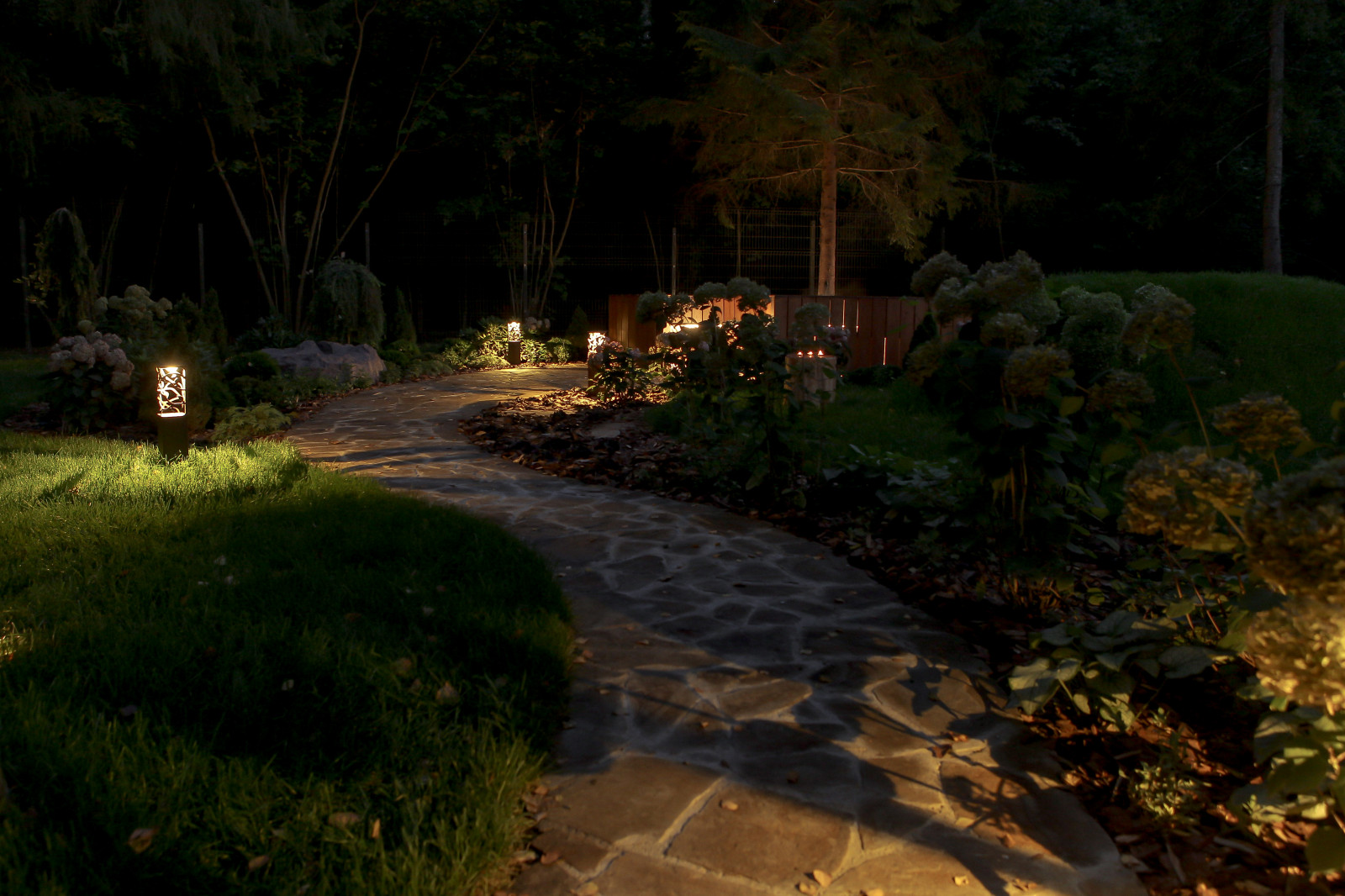 Сказочный лес