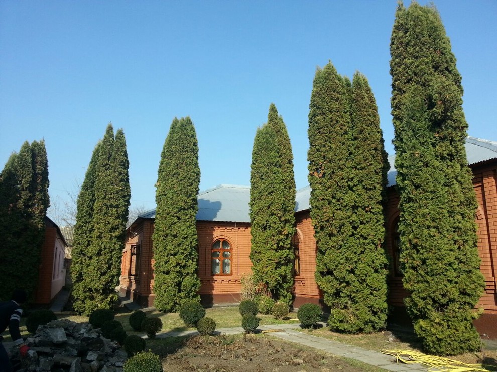 Обложка проекта: Посадка крупномерных деревьев