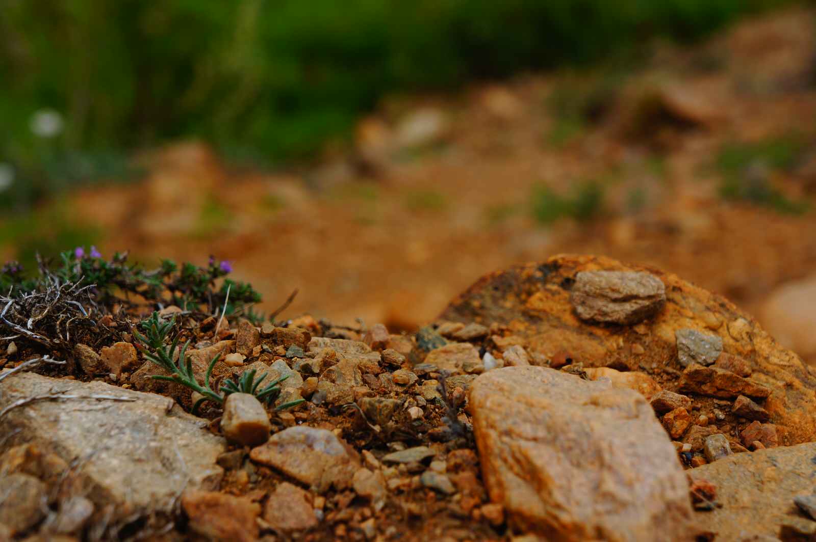 Декоративные камни используемые в ландшафтном дизайне