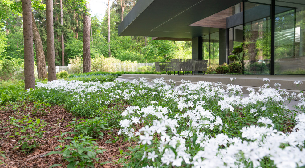 В гармонии с лесом. Модернистский сад. КП Новоуспенский 2020 г